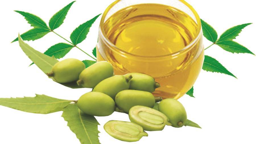 Why Neem Oil is the Best Choice for Your Skin?