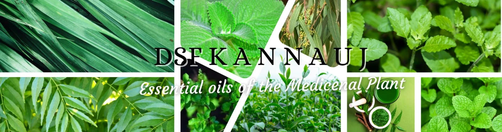 OUR   TOP   SELLING    ITEM