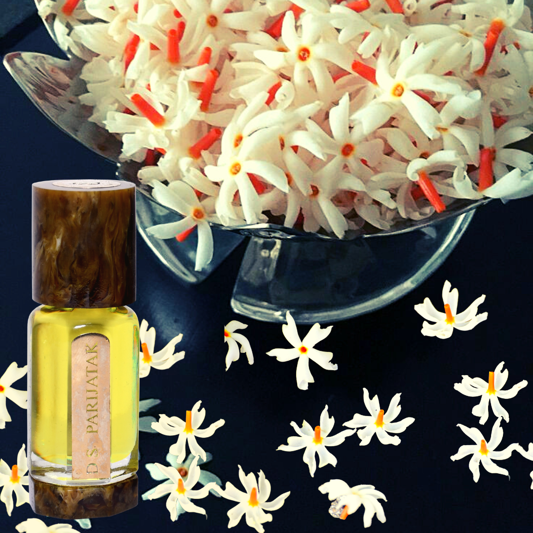 DS PARIJATAK ABSOLUTE