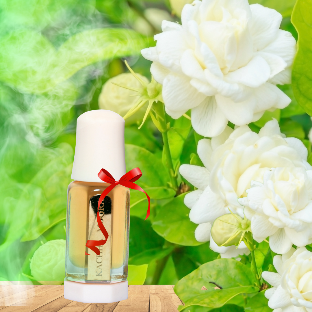 KACHHA MOGRA ABSOLUTE