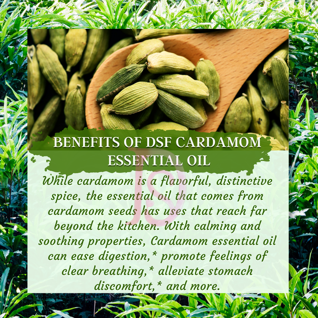 Organic Cardamom Essential Oil