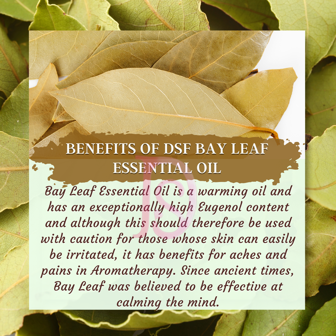 BAY LEAF OIL PURE