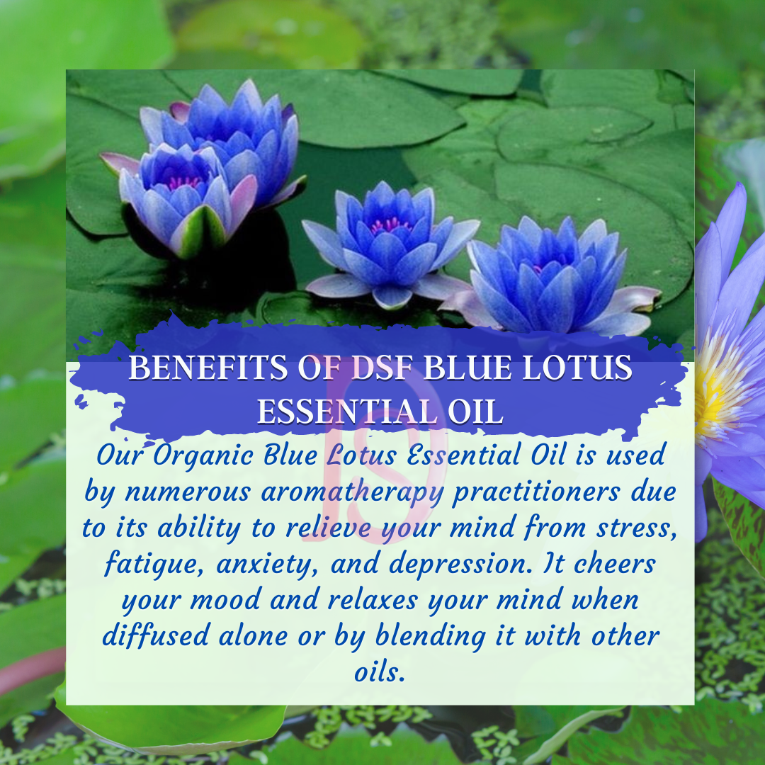 ब्लू लोटस ऑर्गेनिक गुणवत्ता वाले आवश्यक तेल