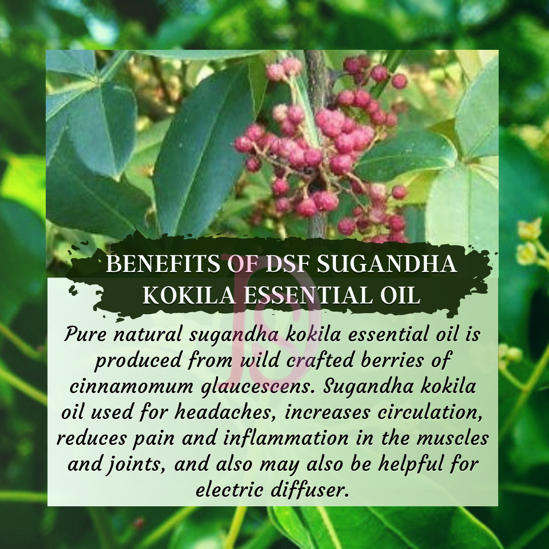 SUGANDHA KOKILA OIL PURE