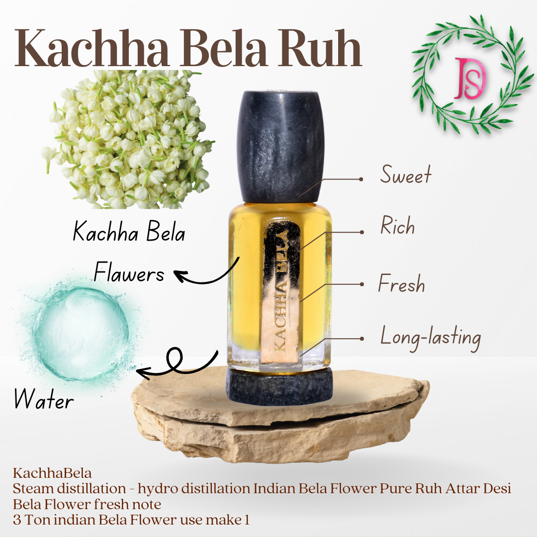 KACHHA BELA ABSOLUTE